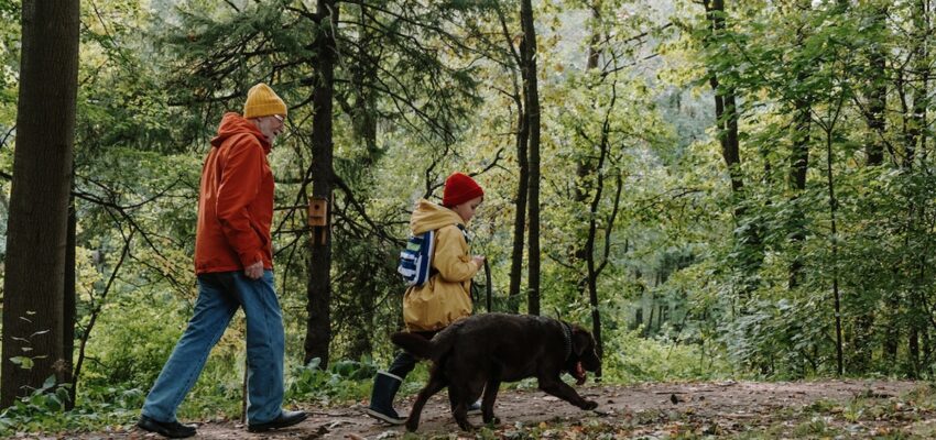 Barking Up the Right Tree: The Surprising Ways Dogs Can Improve the Quality of Life for the Elderly