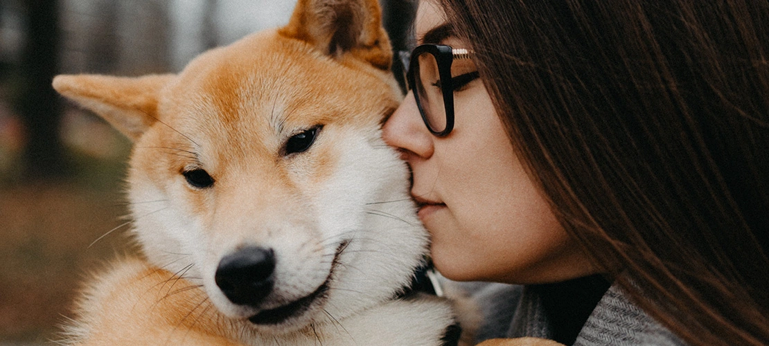 exploring the bond between people and animals