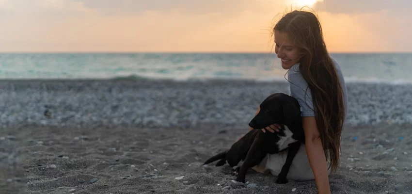 From Depression to Joy: The Mental Health Benefits of Having a Furry Companion