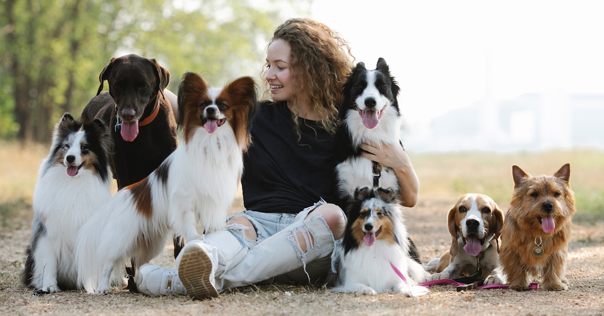 HOW TO PREPARE FOR THE MEETING: VISITING AN ANIMAL CLINIC IN JACKSONVILLE​