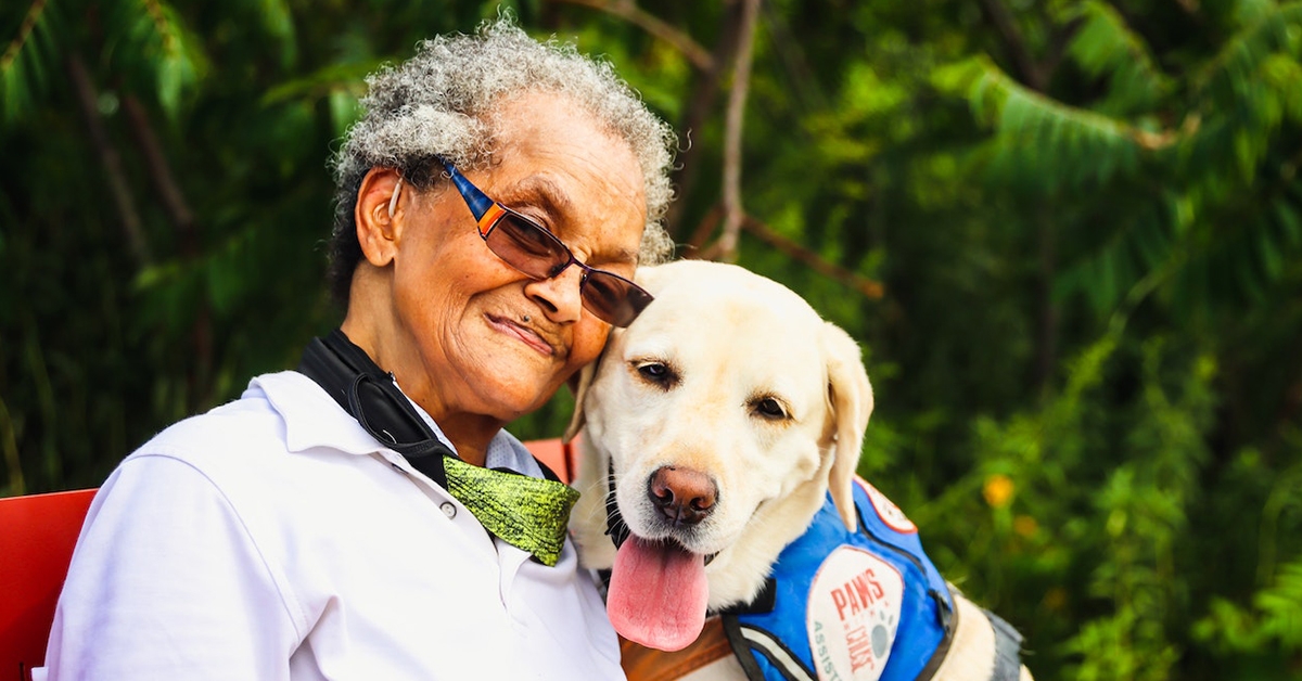 Mental and Emotional Support Provided By Dogs to Their Owners